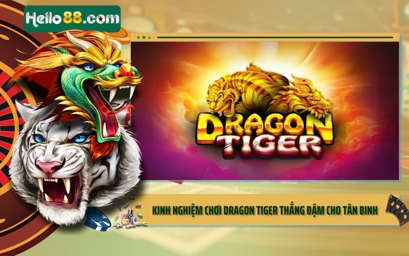 Kinh nghiệm chơi Dragon Tiger thắng đậm cho tân binh