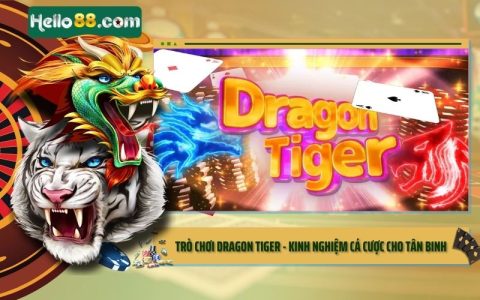 Trò Chơi Dragon Tiger - Kinh Nghiệm Cá Cược Cho Tân Binh